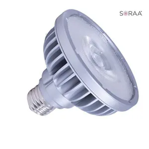 Bulbrite 777727 LED PAR30SN