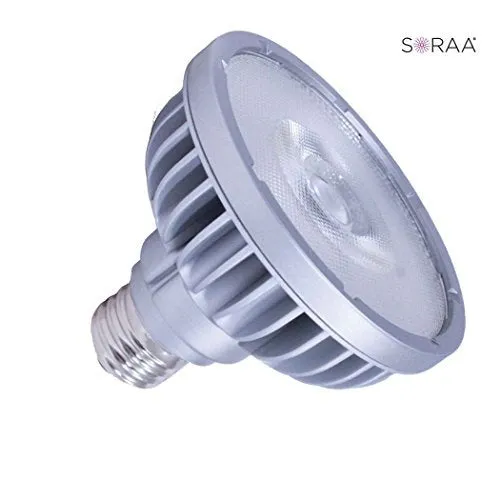 Bulbrite 777727 LED PAR30SN