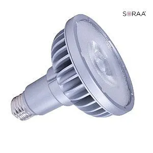 Bulbrite 777747 LED PAR30LN