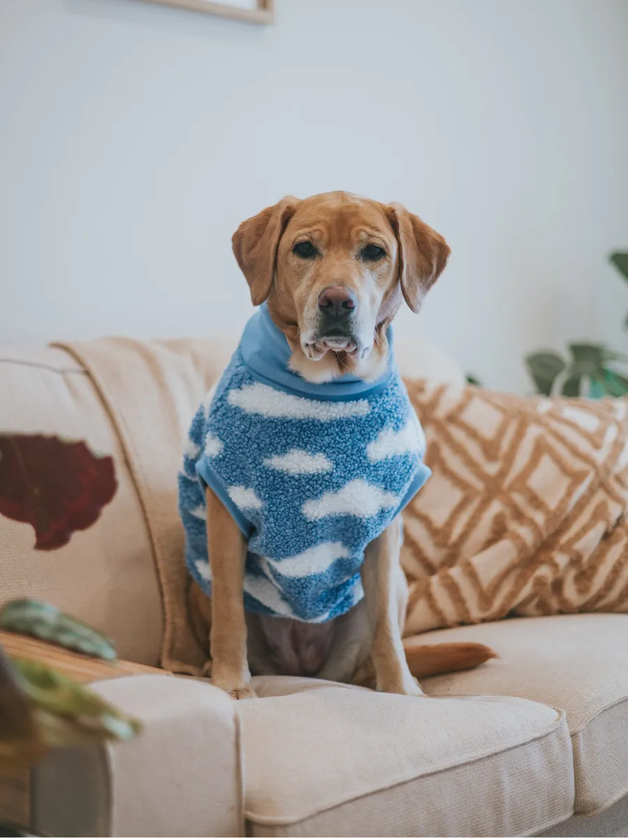 Clouds Sleeveless Dog Jumper