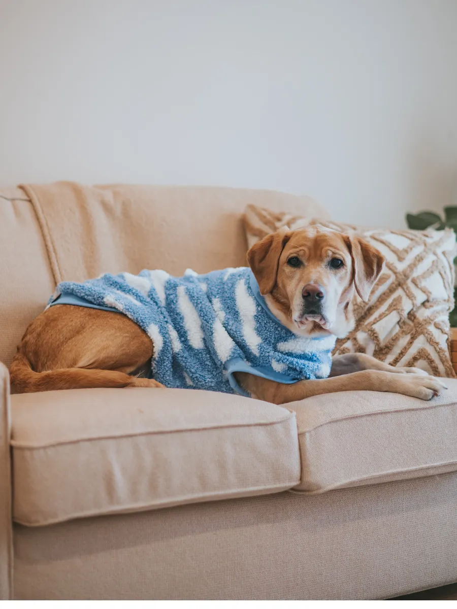Clouds Sleeveless Dog Jumper