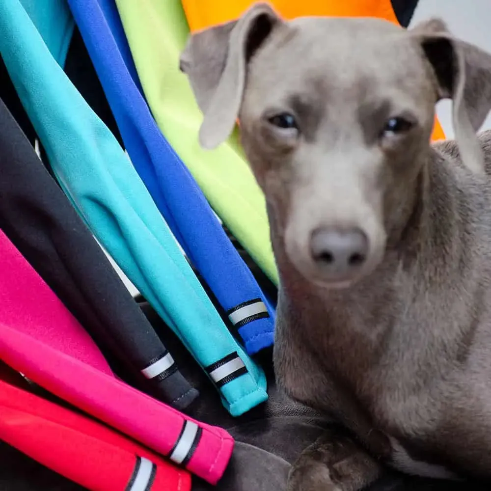 Softshell-Pulli für Hunde - „Hachico Vol. 2“ - blue